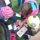 OLYMPUS DIGITAL CAMERA