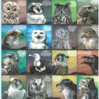 SC227-PREPE25052312340